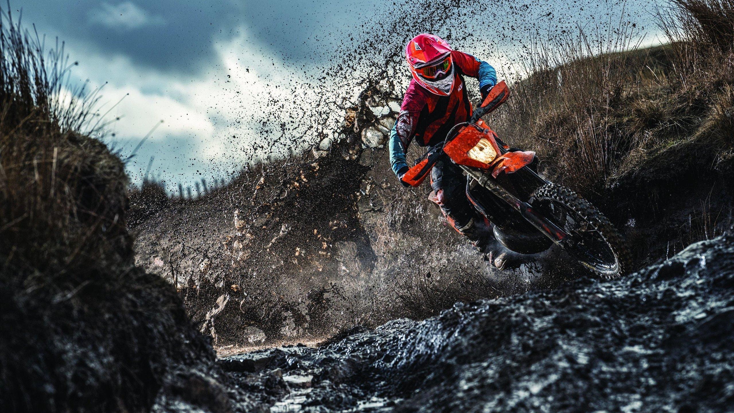 全球首届机器人竞技大赛落幕 科技与体育碰撞出新火花